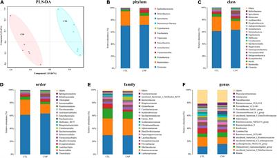 Multi-Omics Analysis Reveals Changes in the Intestinal Microbiome, Transcriptome, and Methylome in a Rat Model of Chronic Non-bacterial Prostatitis: Indications for the Existence of the Gut-Prostate Axis